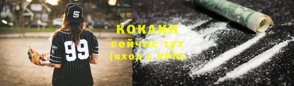 a pvp Бородино