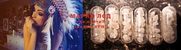 a pvp Бородино
