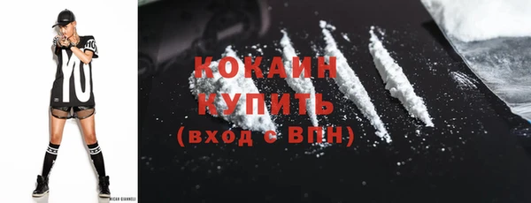 a pvp Бородино