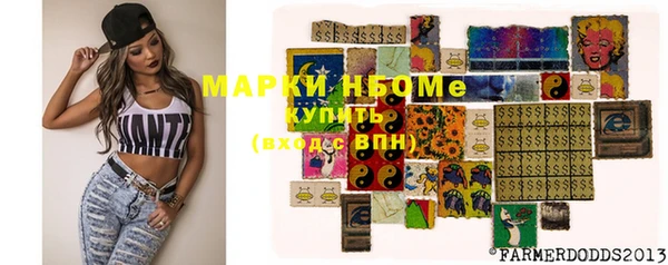 a pvp Бородино