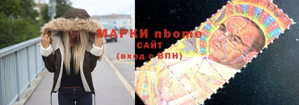a pvp Бородино