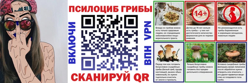 хочу   Владикавказ  Галлюциногенные грибы Cubensis 